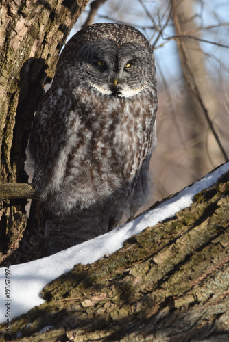 Wallpaper Mural Parc Maritime Nicolet 22 Février 2026 Torontodigital.ca