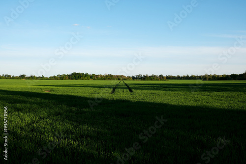Berlin South/Brandenburg fields – documentary style, real world, authentic situation, natural light, genuine moment captured by human photographer, no ai