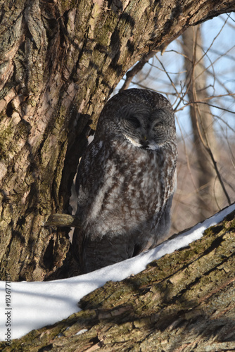 Wallpaper Mural Parc Maritime Nicolet 22 Février 2026 Torontodigital.ca