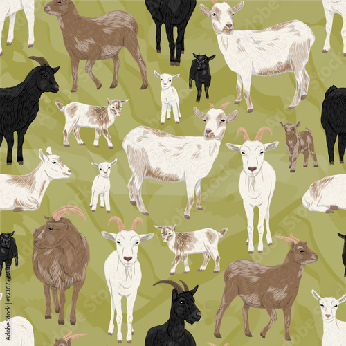 Vector seamless pattern with farm goats, billies and kids on green background, domestic animals livestock wildlife wallpaper