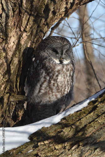 Wallpaper Mural Parc Maritime Nicolet 22 Février 2026 Torontodigital.ca