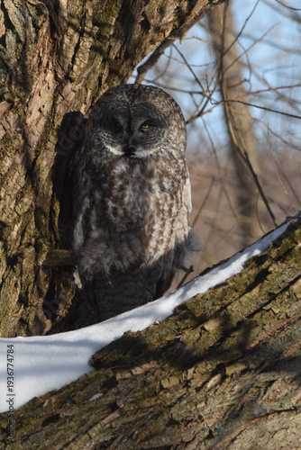 Wallpaper Mural Parc Maritime Nicolet 22 Février 2026 Torontodigital.ca