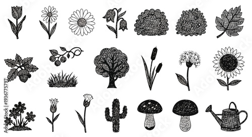 Collection of hand-drawn botanical elements: flowers, trees, plants, mushrooms, and watering can, isolated on white