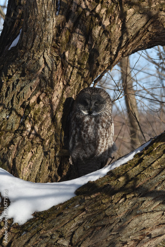 Wallpaper Mural Parc Maritime Nicolet 22 Février 2026 Torontodigital.ca