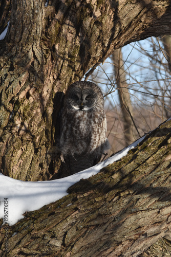 Wallpaper Mural Parc Maritime Nicolet 22 Février 2026 Torontodigital.ca