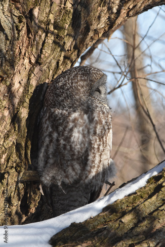 Wallpaper Mural Parc Maritime Nicolet 22 Février 2026 Torontodigital.ca