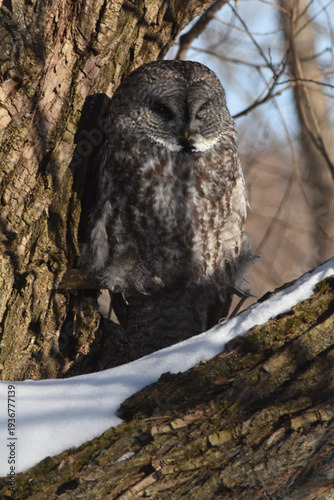 Wallpaper Mural Parc Maritime Nicolet 22 Février 2026 Torontodigital.ca