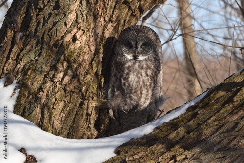Parc Maritime Nicolet 22 Février 2026