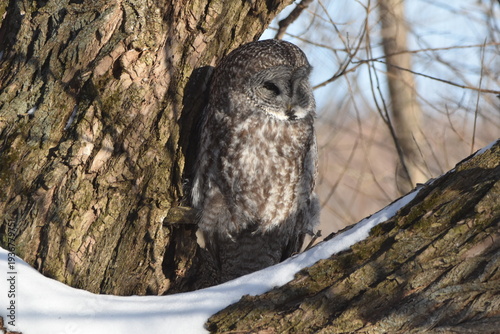 Parc Maritime Nicolet 22 Février 2026