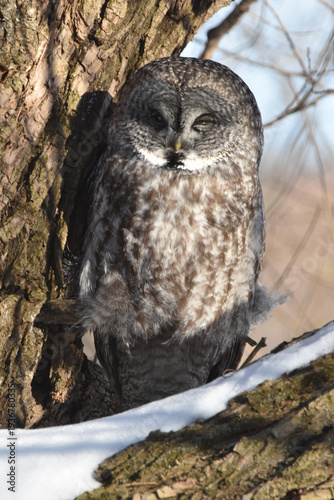 Wallpaper Mural Parc Maritime Nicolet 22 Février 2026 Torontodigital.ca