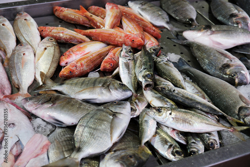 Fresh Fish at Fish Market – documentary style, real world, authentic situation, natural light, genuine moment captured by human photographer, no ai