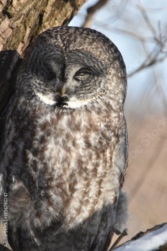 Wallpaper Mural Parc Maritime Nicolet 22 Février 2026 Torontodigital.ca