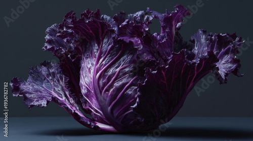 Close-up of a head of red cabbage. the cabbage is in the center of the image, with its leaves spread out in a fan-like shape.