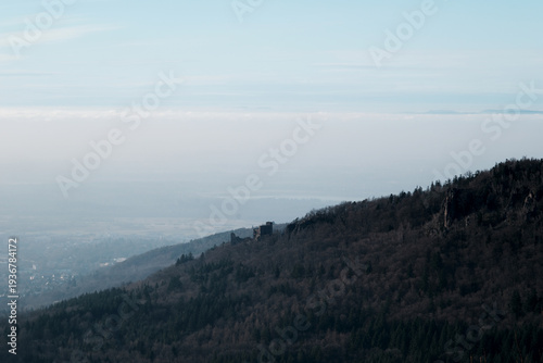 Schwarzwald Landschaft Baden-Baden – documentary style, real world, authentic situation, natural light, genuine moment captured by human photographer, no ai