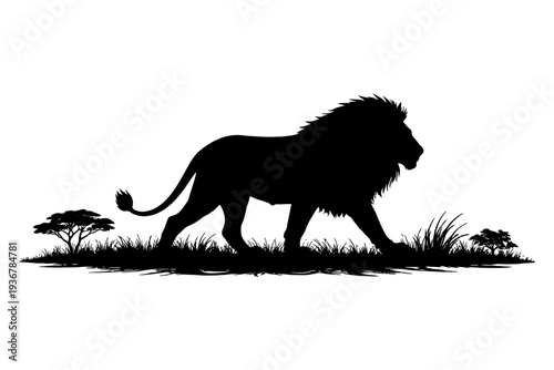 Silhouette of majestic lion walking in african landscape.