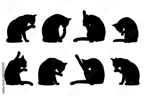 Silhouette of cats grooming in various poses on white background.