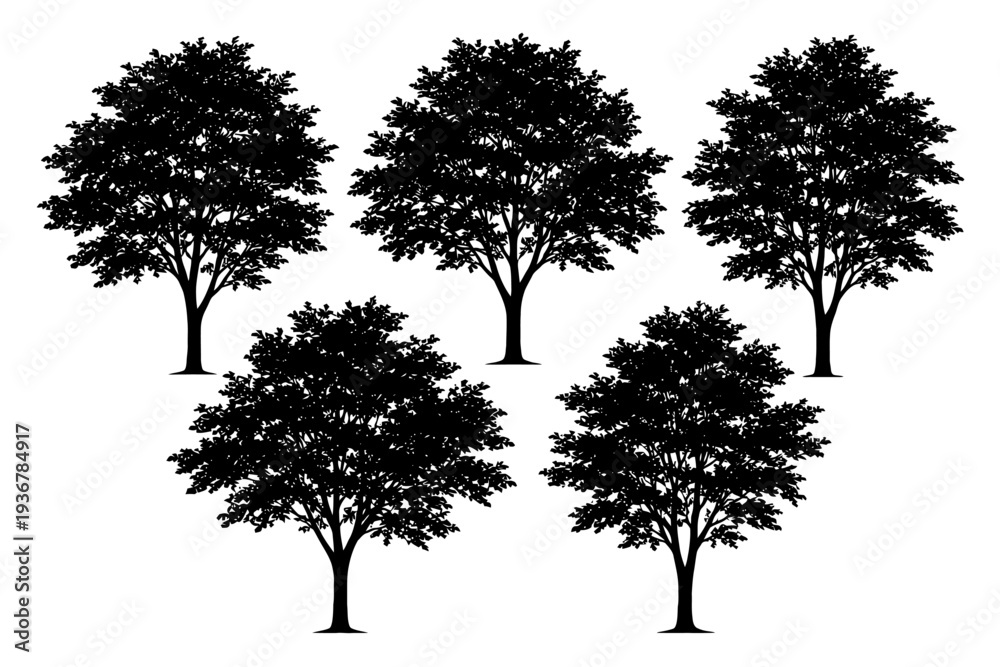 Obraz premium Five black tree silhouettes on white background.