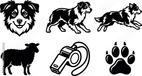 Vector art border collie head and running herding dogs with sheep whistle and paw icons in black silhouette closeup