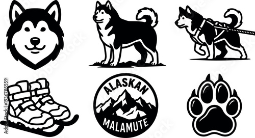 Flat design alaskan malamute icon set showing head full body harness pulling boots paw print mountain badge silhouette black white