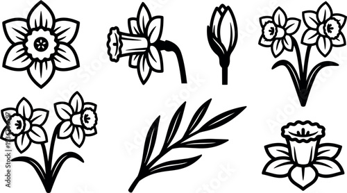 Minimalist line art daffodil icon set close up botanical elements single stem bouquet flat vector black outline spring floral clipart