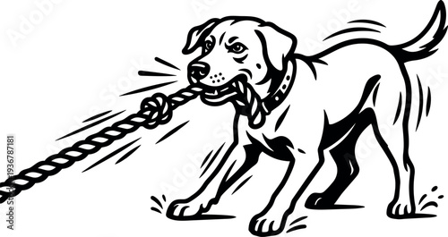 Vector art playful dog tugging knotted rope low angle close up collar wagging tail dynamic line art black white illustration