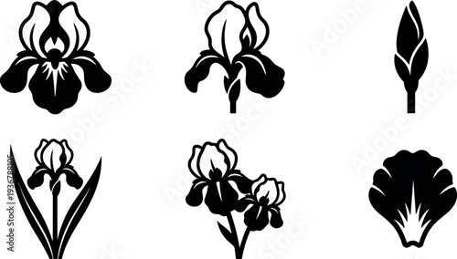 Flat design iris flower icon set six black silhouette variations close up different angles bud bloom stem leaf minimal vector