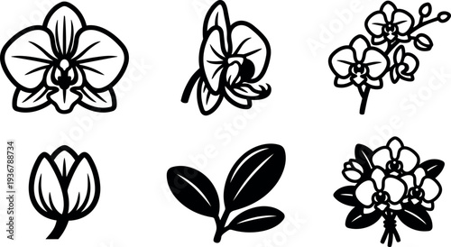 Minimal line art orchid icons set six angles close up floral buds leaves bouquet vector line art black outline silhouette