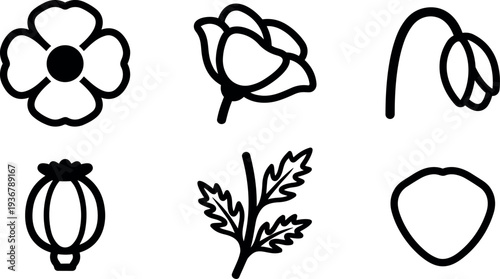 Minimalist line art floral icon set six simple flower and seed pod symbols in black outline on white background collection