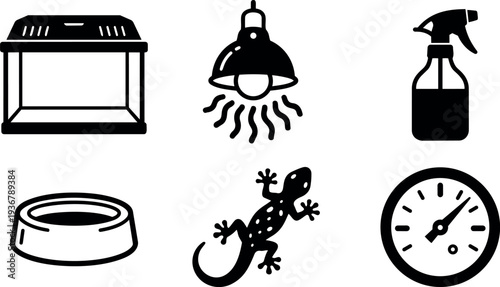 Minimalist vector reptile terrarium icons set showing glass tank heat lamp spray bottle water dish lizard hygrometer side view top