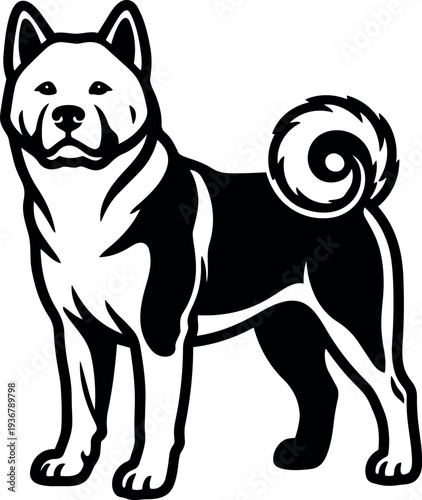 Line art standing akita dog with curled tail looking forward three quarter view black and white vector badge design studio
