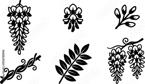 Flat design botanical silhouette wisteria cluster and leaf icons arranged in six vector floral emblem decorative black minimal ornamental set