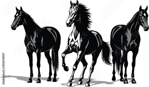 Black and white stylized graphic illustration of three powerful stallions standing and galloping together on white background representing wild nature freedom strength and teamwork.