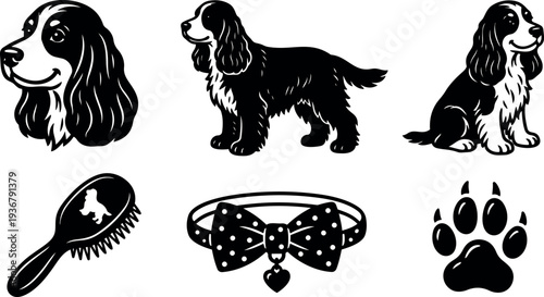 Vector line art set of spaniel dog head standing and sitting poses with grooming brush bow collar and paw print