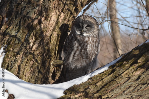 Wallpaper Mural Parc Maritime Nicolet 22 Février 2026 Torontodigital.ca