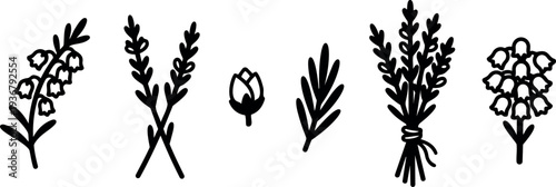 Line art minimal lavender sprigs and buds arranged in a tied bouquet flat vector icons on white background horizontal composition