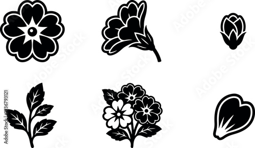 Flat vector floral icon set close up stylized blossom and bud cluster with leaves isolated on white background minimal monochrome