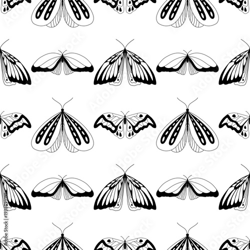 Seamless pattern. Outline images of butterflies. Minimalistic