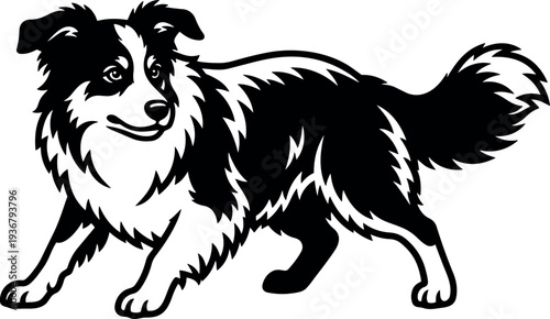 Line art playful border collie dog in three quarter pose looking sideways detailed fur tail raised vector illustration black white