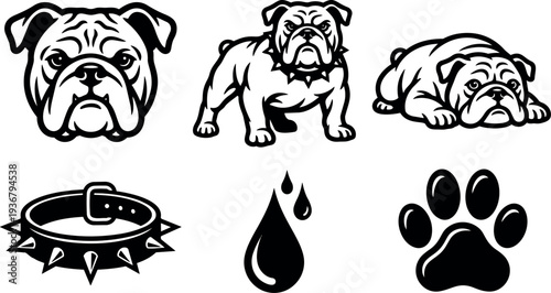 Bulldog vector set three poses head standing lying with spiked collar paw and droplet icons bold line art monochrome mascot