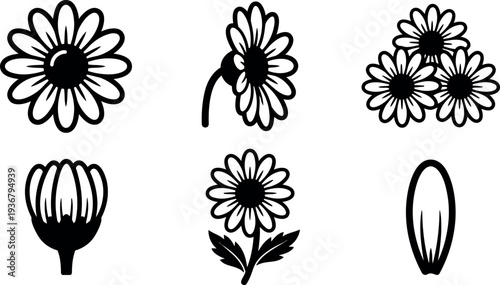 Line art vector icon set daisy flower variations front view side view bud cluster petal single stem botanical black outline