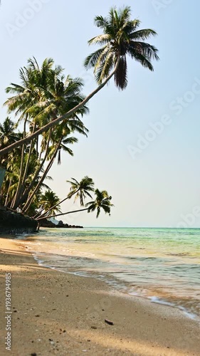 Vertical shot Tranquil scene of tropical beach with coconut trees in the summer time. Wonderful paradise relaxing shoreline with turquoise clear water under blue sky at Koh Samui, Thailand.