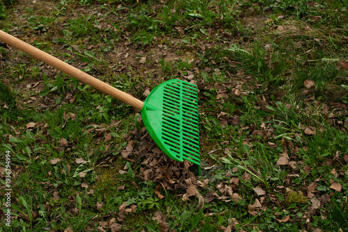 Removing old leaves from the garden with a rake in the spring. Spring garden cleaning.