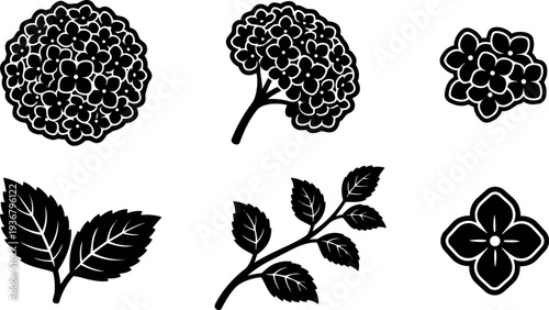 Flat design hydrangea icon set close up cluster blossom branch and leaf silhouettes view vector botanical graphic for print web