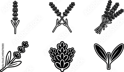 Minimalist line art lavender icon set six botanical sprigs and bundle close up isolated white background simple flat design vector