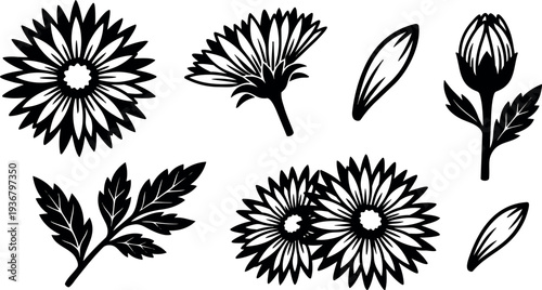 Silhouette floral vector set close up daisy elements arranged on white background bold flat design single stem bud leaf petals