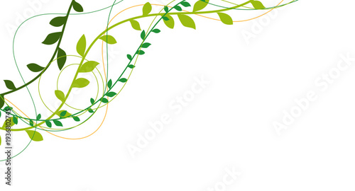 natura, rami, piante, rampicanti, edera, liane