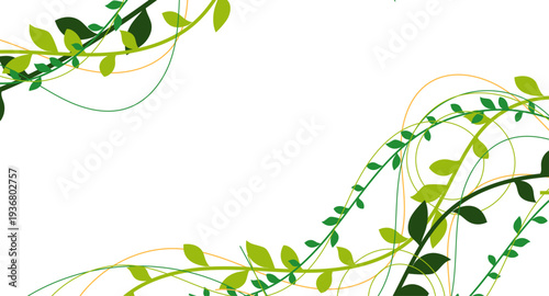 natura, rami, piante, rampicanti, edera, liane