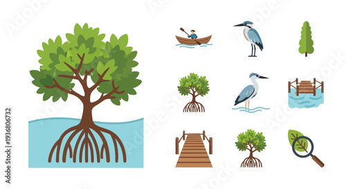 Mangrove Tree Roots Ecosystem Elements.