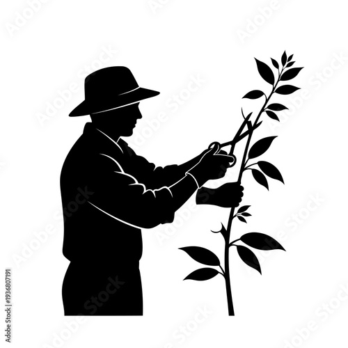 A silhouette of a man pruning a plant with gardening tools