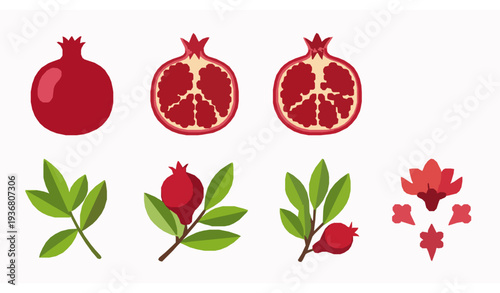 Flat pomegranate fruit icon collection with seeds leaves flowers and branches botanical vector set